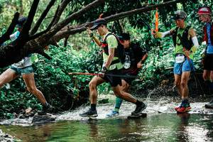 BIB: 
                            <button type="button" onclick="openModal(25269919)" class="btn btn-primary btn-sm float-right btn-popup" data-toggle="modal" data-target=".modal-high-quality">
                        <i class="fas fa-shopping-cart"></i> Add to Cart
                    </button>
                                            <button type="button" onclick="isThisMe(25269919, true)" class="btn btn-success btn-sm float-right btn-popup btn-isme hidden" data-toggle="tooltip" data-placement="bottom" title="นี่คือรูปของคุณใช่ไหม คลิกที่นี่เพื่อเอาเข้าอัลบั้ม">
                        <i class="fas fa-plus"></i> Add to album
                    </button>
                    <button type="button" onclick="isThisMe(25269919, false)" class="btn btn-warning btn-sm float-right btn-popup btn-isnotme hidden">
                        <i class="fas fa-ban"></i> Remove from album
                    </button>